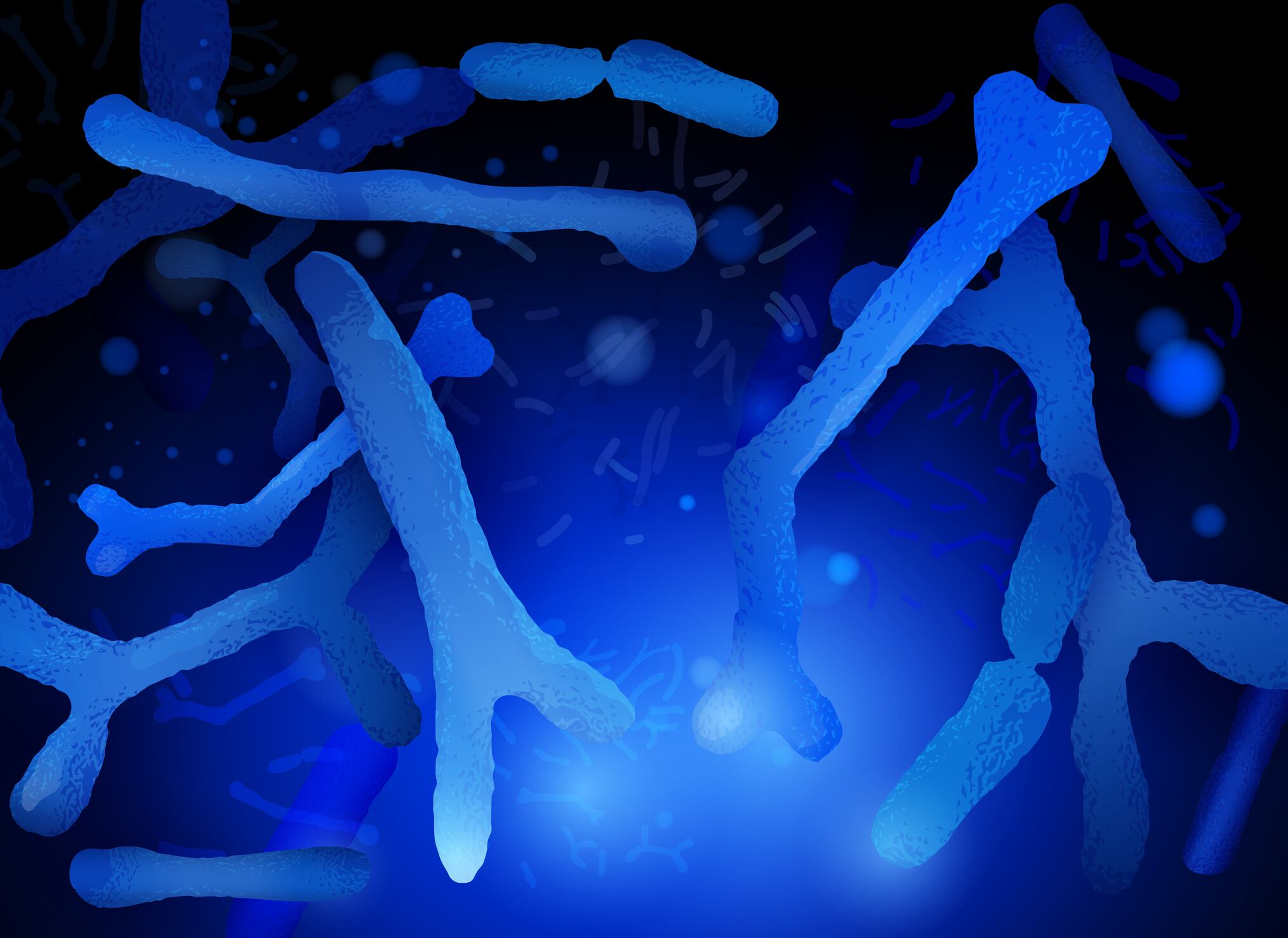 Probiotic-s-obesity-benefits-partially-translate-from-animals-to-humans-Study.jpg