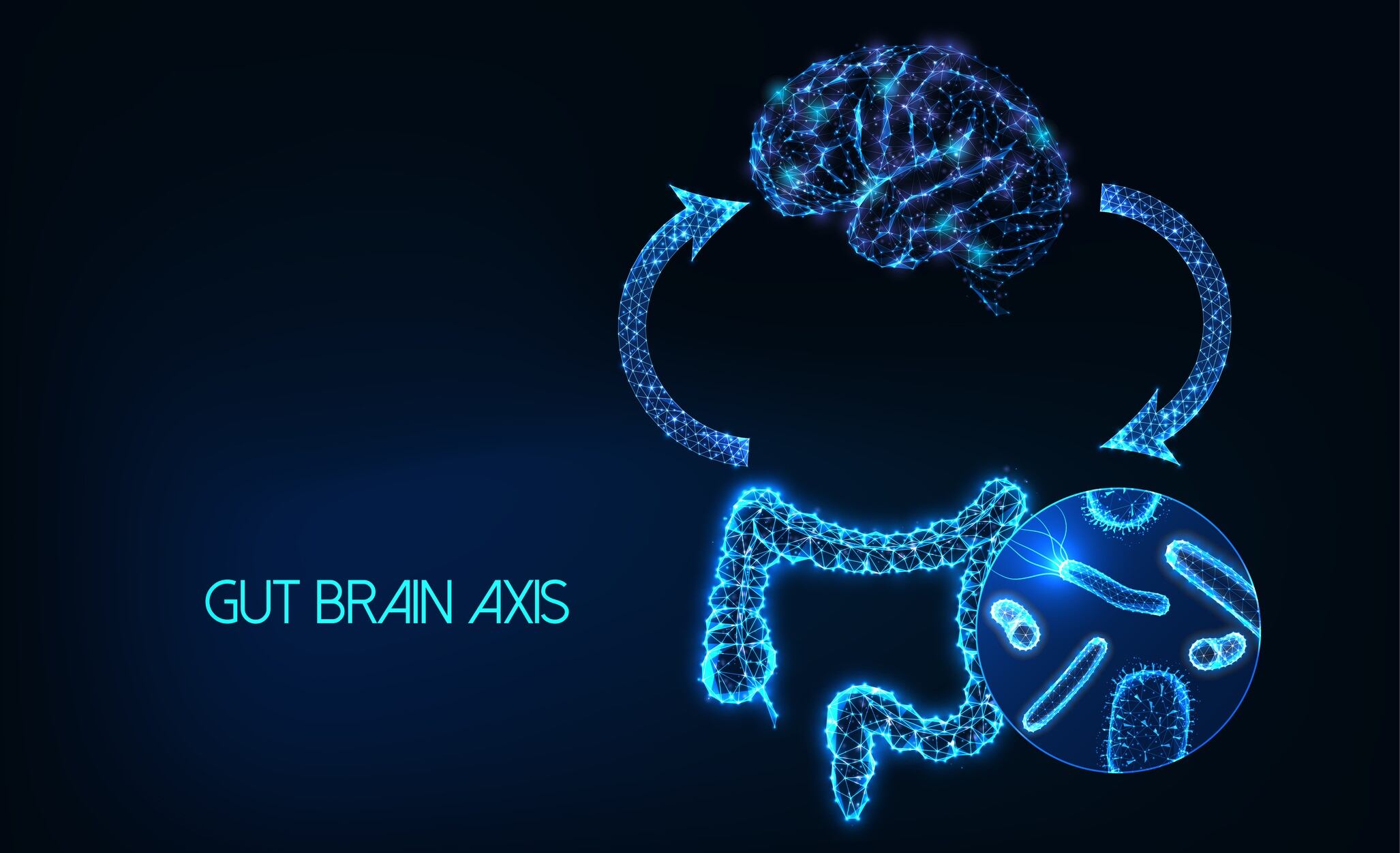 L. gasseri strain may support cognitive function in aged mice: Study