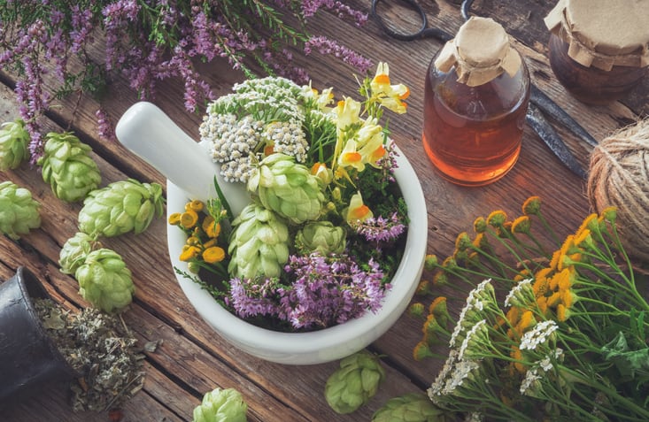 Wildcrafting pressures, move toward cultivation, supply bottlenecks to color botanical sourcing picture in 2021