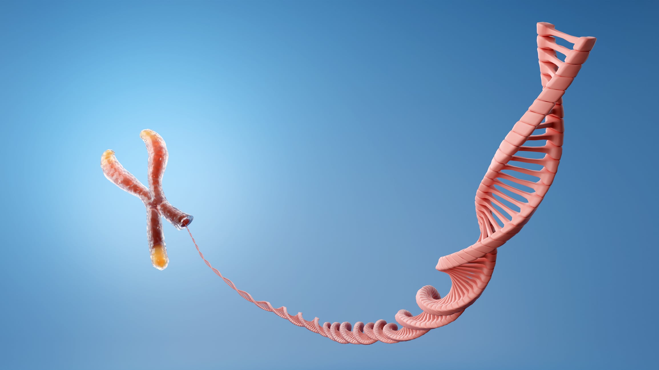 High dose folic acid in pregnancy may shorten infant telomere length, researchers say