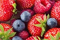 ENI develops sources of polyphenols that bring defined health benefits for use in supplements, beverages and powders.