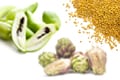 Three plants for a more holistic approach to lipid balance and well-being