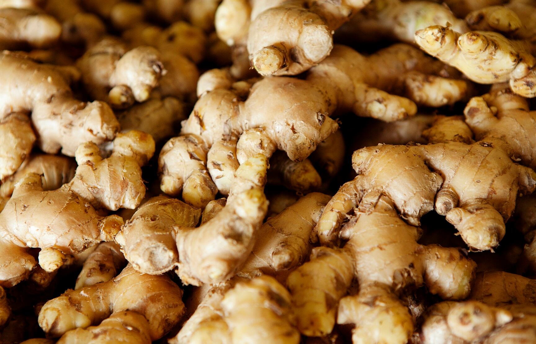High potency ginger extract may ease menstrual symptoms: Study