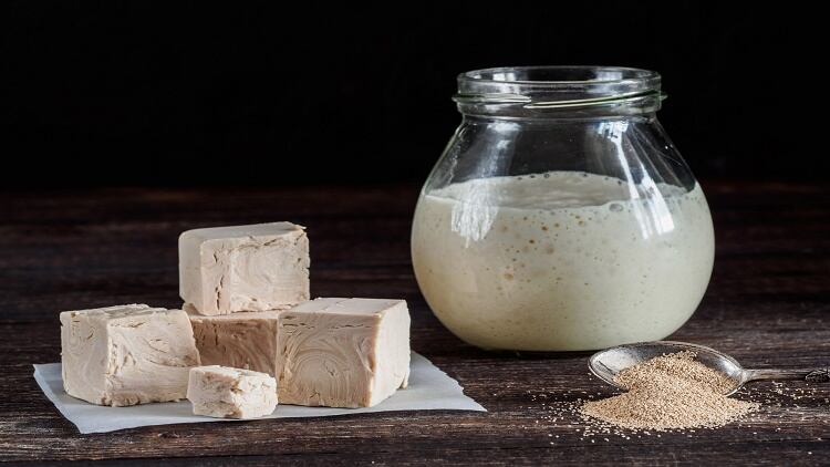 From yeast to protein: Lesaffre embarks on new research amid booming interest in plant-based protein