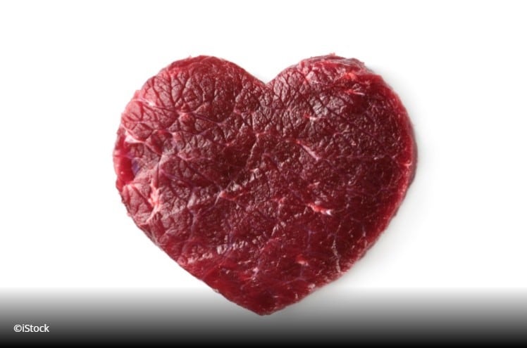 Sports nutrition position paper backs dietary protein over supplements 