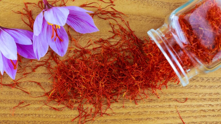 The 'promising' role of saffron in stress resilience