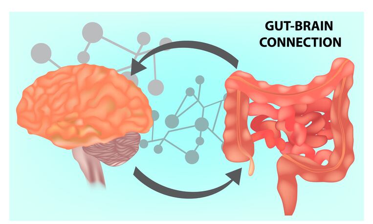 Prebiotic and probiotic interventions may ease depression in adults