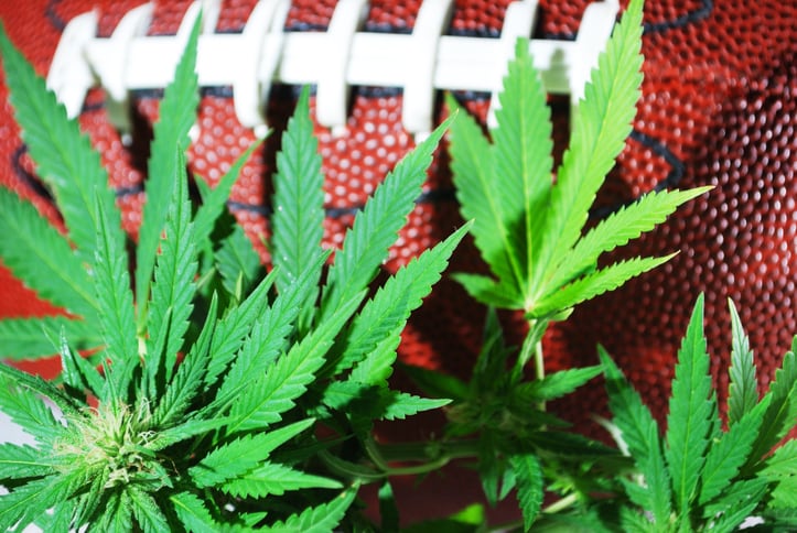 CBD company strikes deal to enter sports nutrition segment 