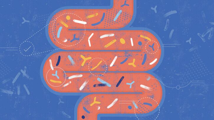 Gut-microbiome-may-predict-cognition-depression-in-older-age.jpg
