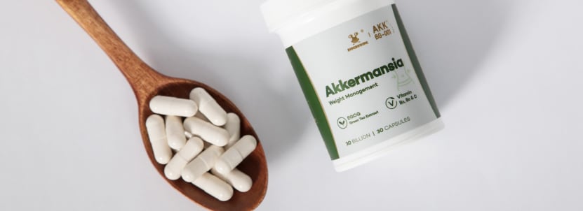 Akkermansia supplements