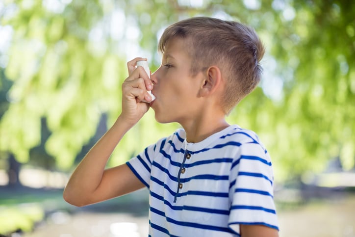 Review highlights promising potentials of allergy-targeted biotics