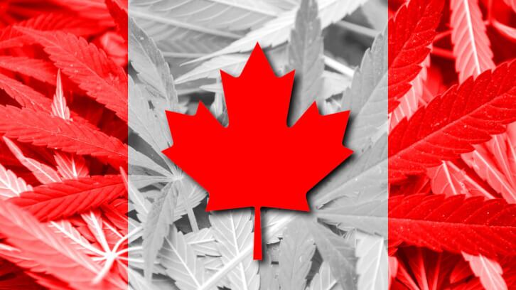 Ex-Health Canada NHP DG: ‘Cannabis is Canada’s New Wild West’