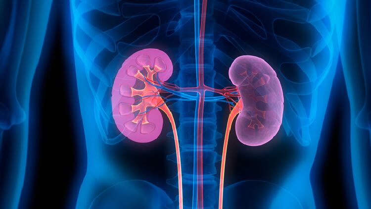 Tocotrienol-rich-vitamin-E-improves-diabetic-patients-renal-functions-nine-months-post-washout-Malaysia-RCT.png