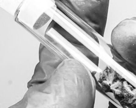 Startup-claims-fermentation-expertise-will-provide-differentiator-in-production-of-rare-cannabinoids.jpg
