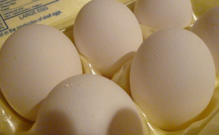 eggs-elaine.jpg