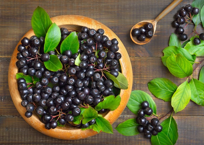 Solabia’s Brainberry enhances peak cognitive performance in young adults: Study