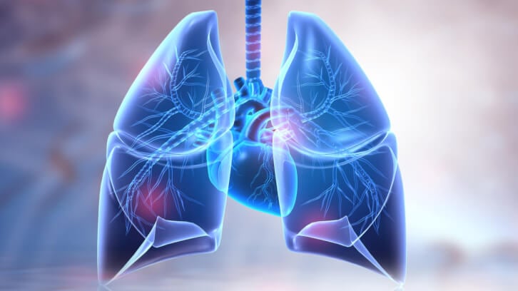 Study reveals promising omega-3–lung function relationship