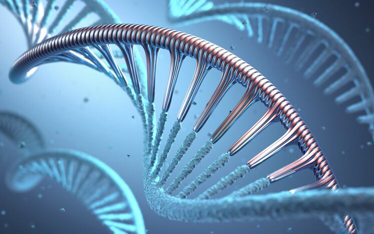 New research could lead to engineered beneficial bacteria, gut microbiome manipulation 