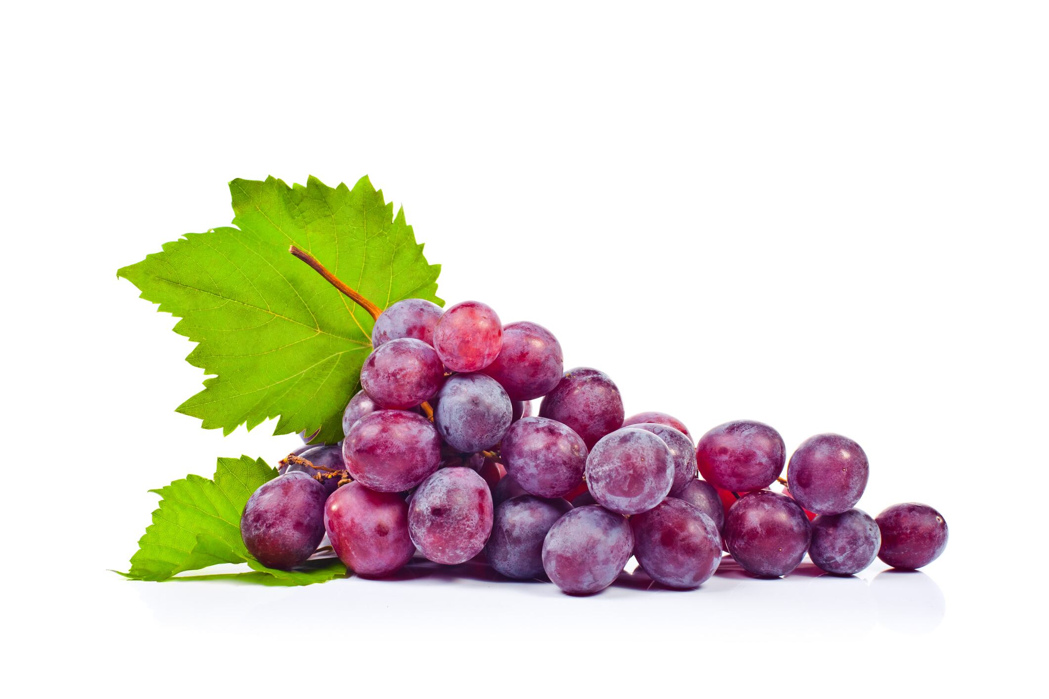 Bionap self-affirms GRAS status for standardized grape extract
