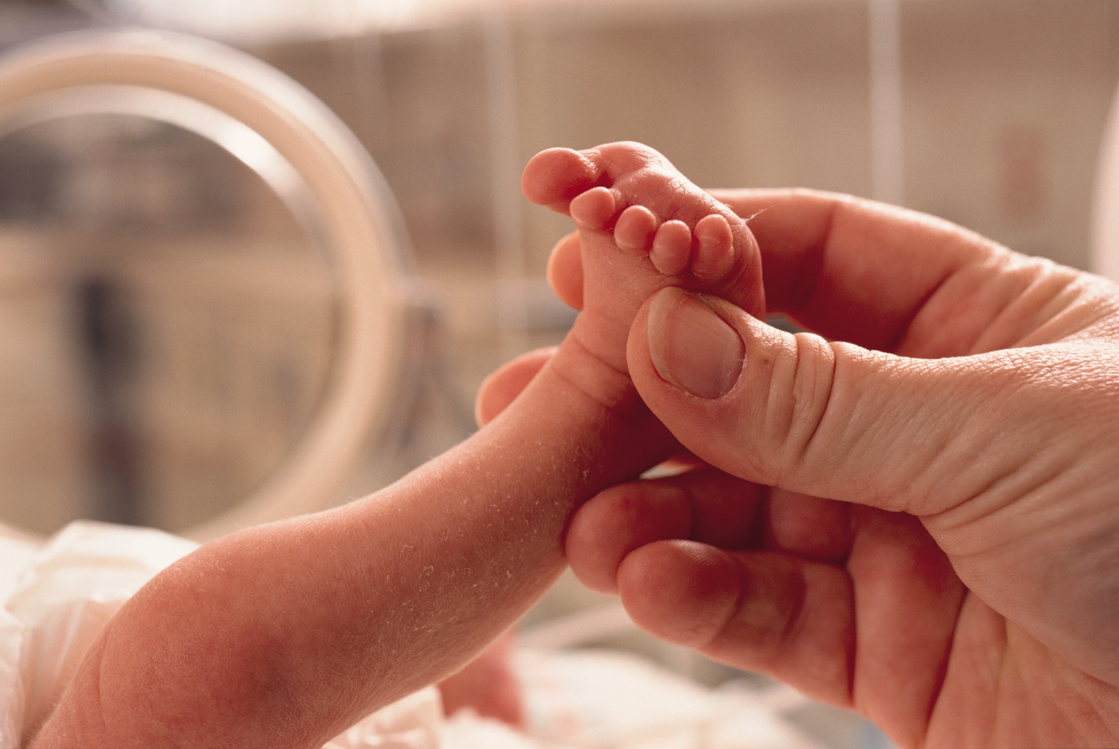IPA Executive Director reacts to study on probiotic use in preterm infants