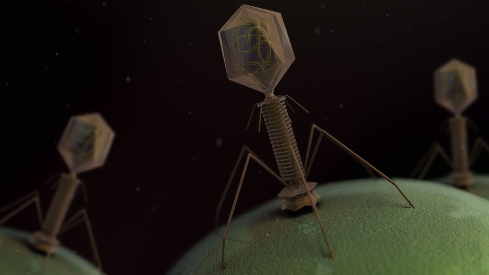 Phage cocktail shows gut microbiota benefits: Deerland RCT data