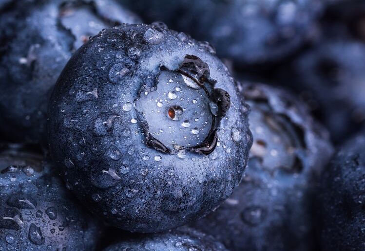 Go-for-the-athlete-market-with-berries-says-keynote-speaker-at-Berry-Health-Benefits-Symposium.jpg