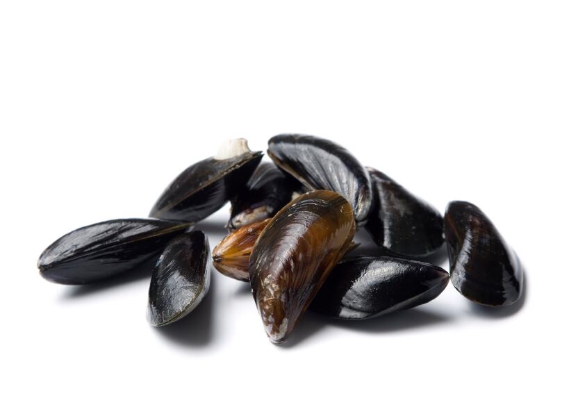 Study: Omega-3 in mussels may help reduce the risk of cardiac arrest