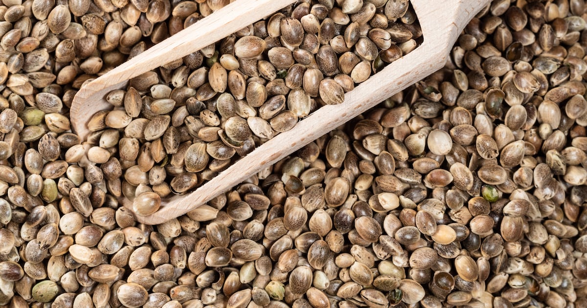 Brightseed launches BioMetaControl for metabolic health Brightseed launches BioMetaControl for metabolic health