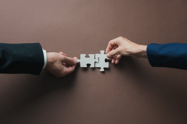 Chr. Hansen and Novozymes unveil future merged company name: ‘Novonesis’