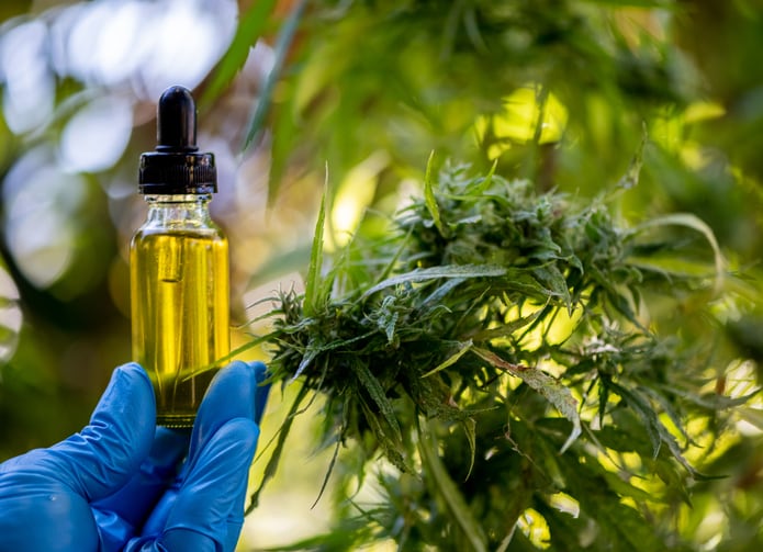 FDA report details poor quality control, undisclosed THC in many CBD products