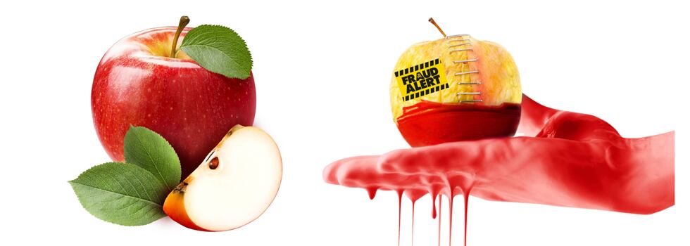 Active-Ingredients-A-Promise-of-Quality-New-Solutions.png