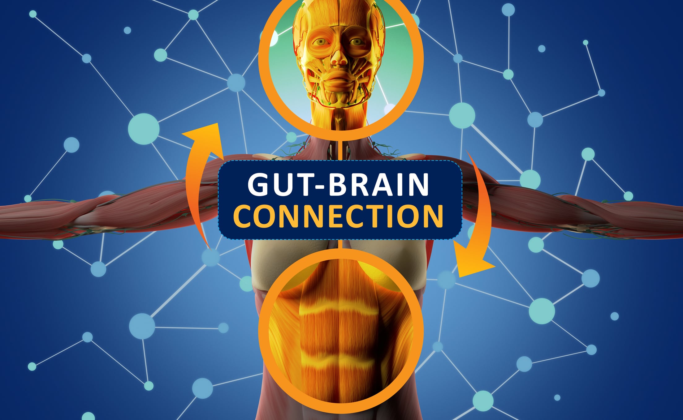 Multi-species probiotic may enhance vagus nerve function, improve sleep: RCT