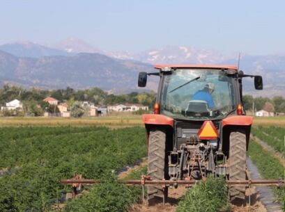 New high capacity Colorado CBD extractor enters market