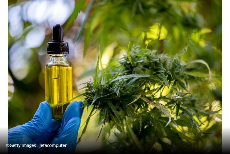 European Council adopts 0.3% maximum THC levels