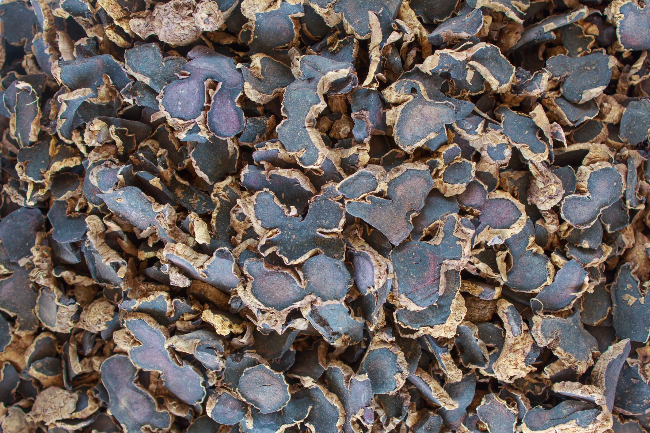 Black ginger extract shows weight management potential in RCT