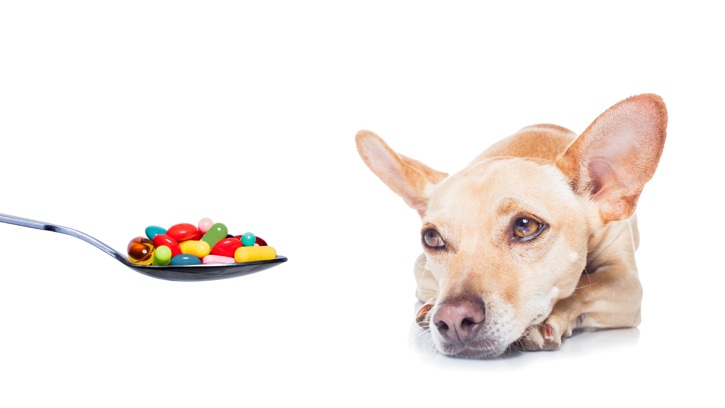 Hemp and CBD in pet supplements weaves same tangled web as in products meant for humans