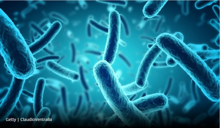 DuPont and P&G to tackle metabolic health in new probiotic-focused deal 