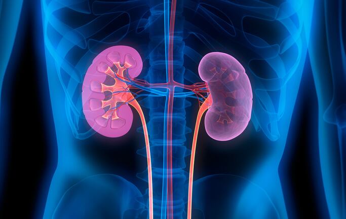 Supplements help improve outcomes for kidney patients:  Study
