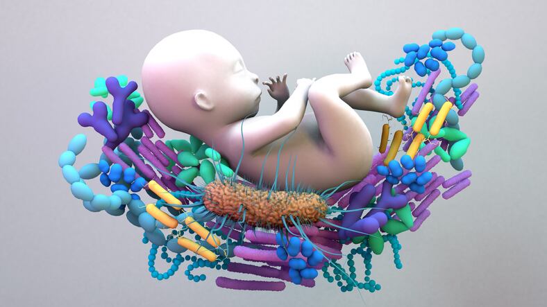 The infant mycobiota: Research needed to understand the complex ecosystem