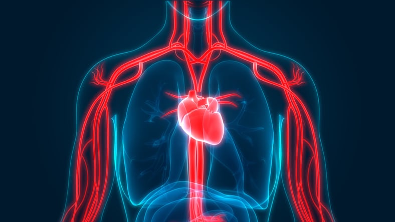 Heart-Association-advisory-on-high-triglycerides-could-help-raise-omega-3s-supplements-expert-says.jpg