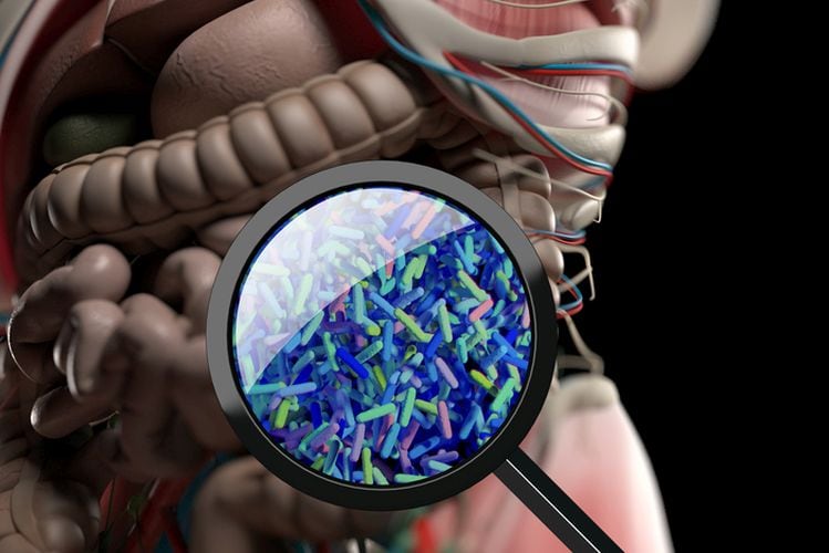 Postbiotics… an emerging trend in functional foods and beverages? In conversation with ADM