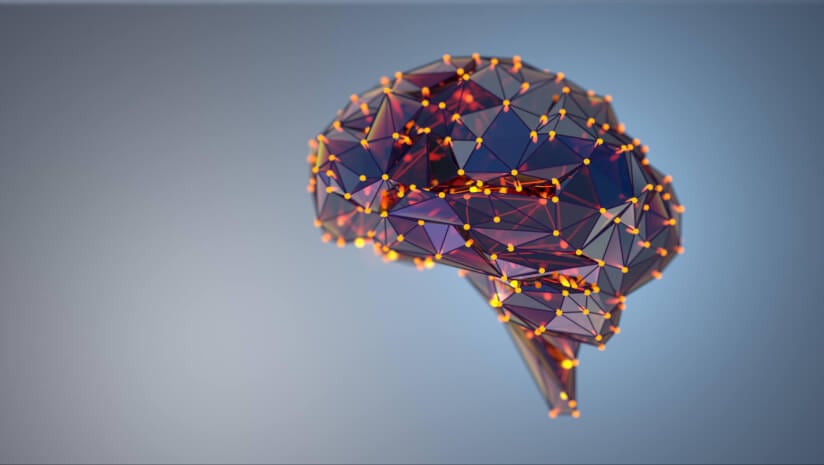 Gut-brain axis: Multi-strain probiotic combination may boost cognitive and emotional function