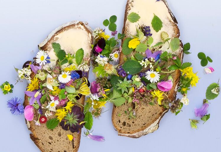 Edible flowers can contribute to daily dose of vitamin E, study suggests