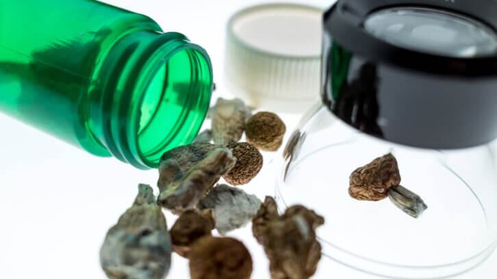 Alkemist-Labs-advances-psychoactive-testing-as-interest-in-psychedelics-grows.jpg