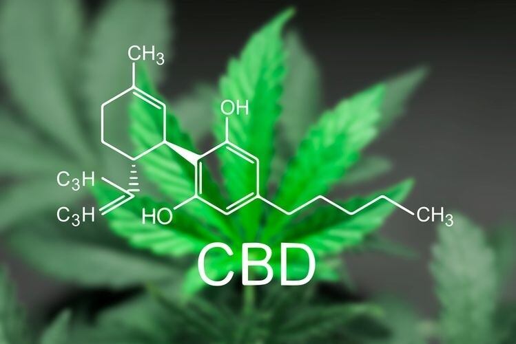 CBD.jpg