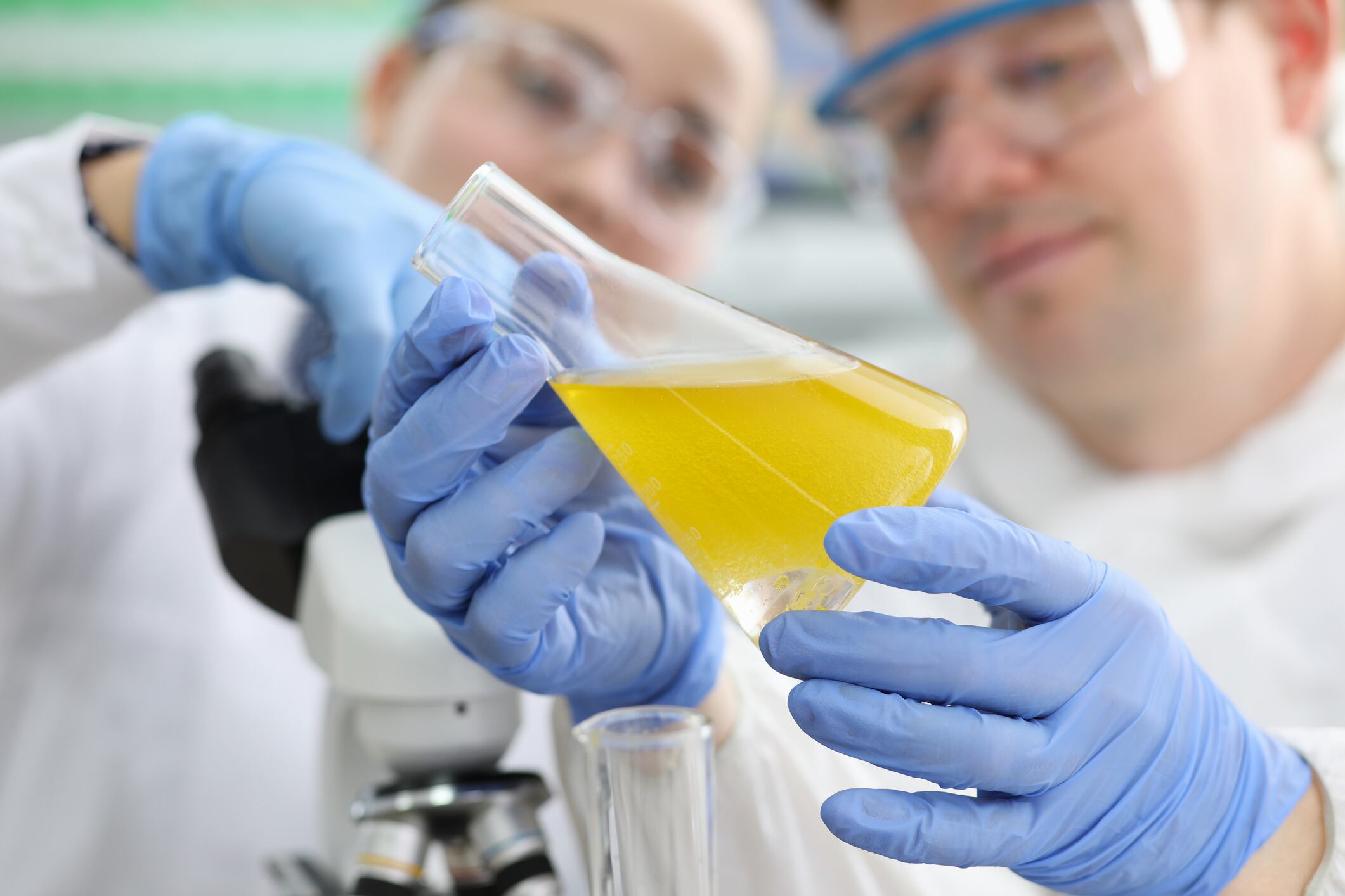 Functional food boost: Mixing berry polyphenols with plant protein isolate 