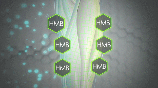 HMB Particle Scene HMB