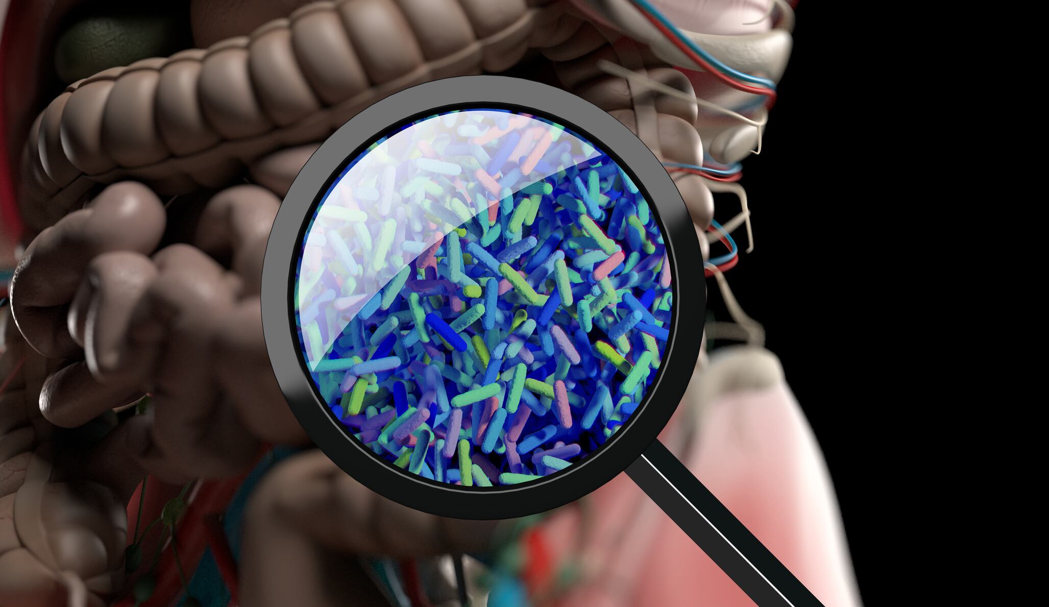 Next-gen-probiotic-candidate-targeting-obesity-identified.jpg