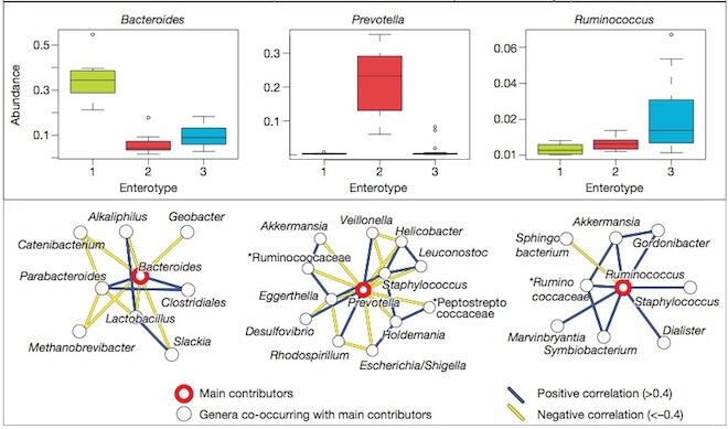 Gut-types.jpg