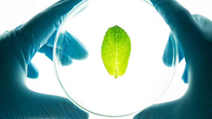Canomiks gets $1 million NSF grant to develop genomics and AI platform for botanicals 